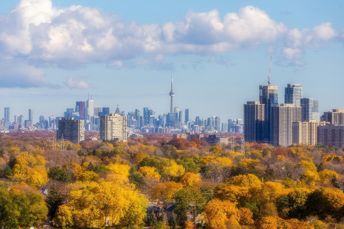 #18  Skip Netflix. Toronto’s Arabic scene has a better lineup this week (October 16–22)
